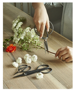 Load image into Gallery viewer, Rustic Carbon Steel Shears
