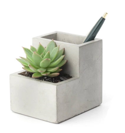Concrete planter and pen holder (small)
