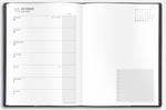 Load image into Gallery viewer, Quo Vadis &quot;Note 21&quot; Weekly Planner 17 months, August to Dec - 6&quot; x 8 ¼&quot;
