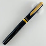 Load image into Gallery viewer, OHTO Celcus Fountain Pen, Various Finishes
