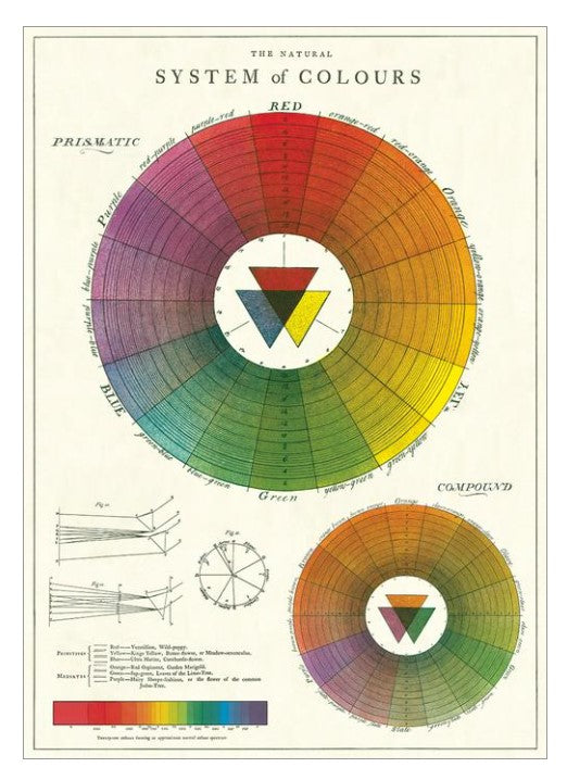 Decorative Paper - Color Wheel